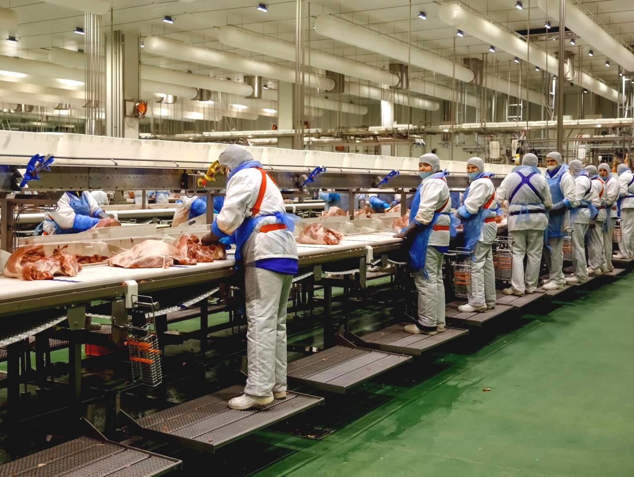 Колбасный завод Мираторг Курская область